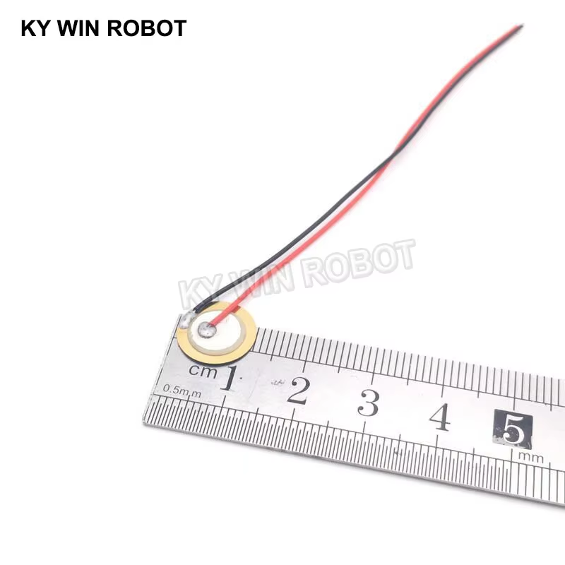 10 Pcs 압전 피에조 세라믹 웨이퍼 플레이트 직경  - Diy With Electronics 리뷰 및 가격